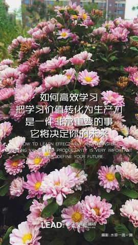流水@歌舞青春主播照片