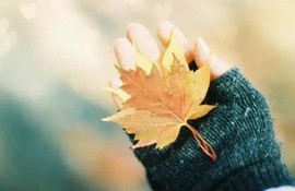 ◆◇の沫沫守候﹎主播照片