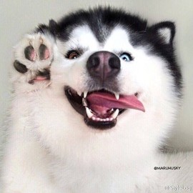 漩︽╯❤☆❤╰︽颩主播照片
