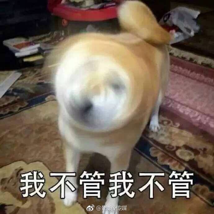 呆呆要过任务的主播照片