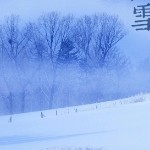無心年华