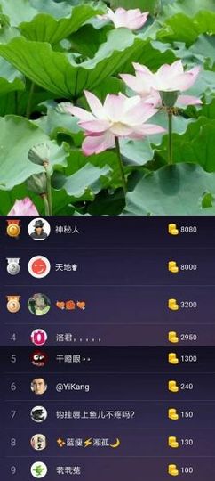 海鸽晚上播主播照片