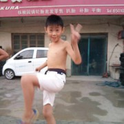 牡丹，高子墨