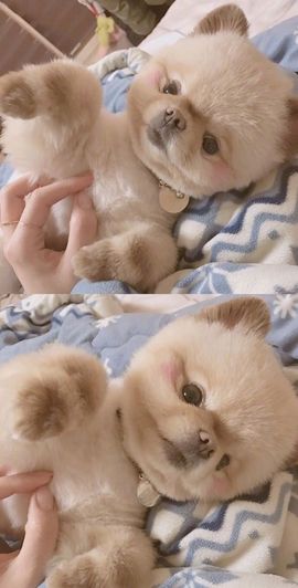 安柠💋是你的小贴心主播照片