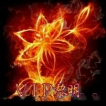VIP⊂⊃黎明海报
