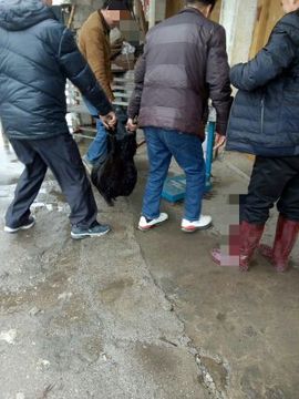 168888大叔主播照片