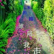 无缘无悔n3