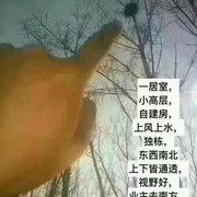 七七🏁独家记忆