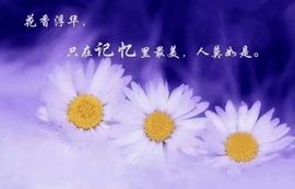 冰雪贺我岁月哥帝王主播照片