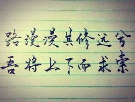 ◆◇の沫沫守候﹎主播照片