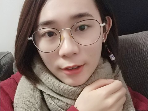 蘅烟景海报