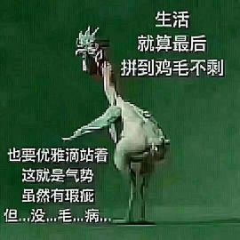 曼娜丽莎主播照片