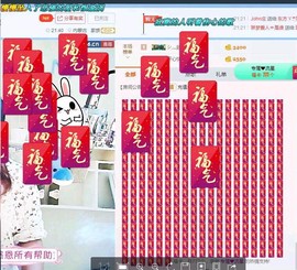 一只雁~主播照片