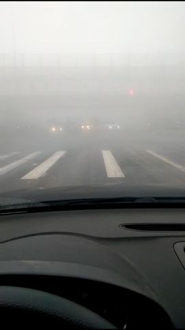 你说我是小孔雀主播照片