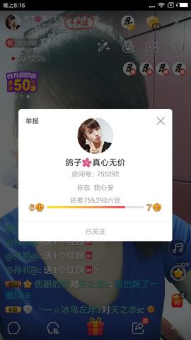 海鸽晚上见主播照片