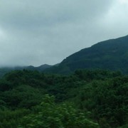 方玲k