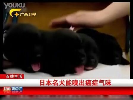 红力的故事？的主播照片