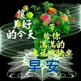 如风如棋主播照片