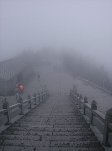 这么久没见.的主播照片