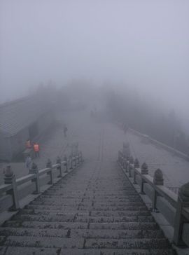 这么久没见.主播照片