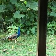 风火~看看
