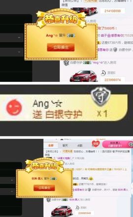 海鸽晚上见主播照片