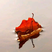シ灬弑☀神传说二哥主播照片