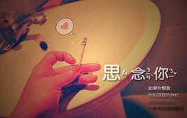 ◆◇の沫沫守候﹎主播照片