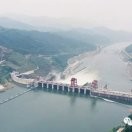 开心果60*