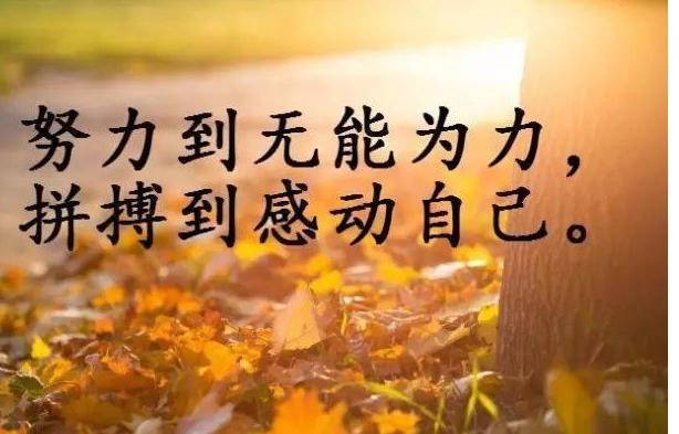 ★★★确定！的主播照片