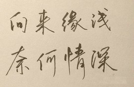 ◆◇の沫沫守候﹎主播照片