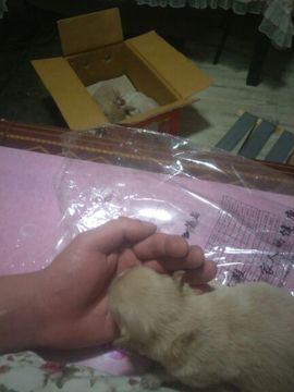 回忆的夜色主播照片