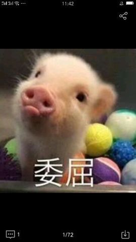 ╰╮玲珑╭╯主播照片