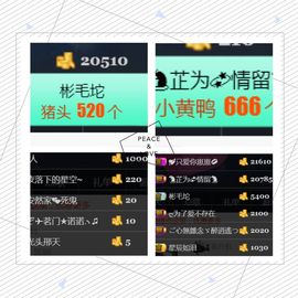 ～～～～耶主播照片