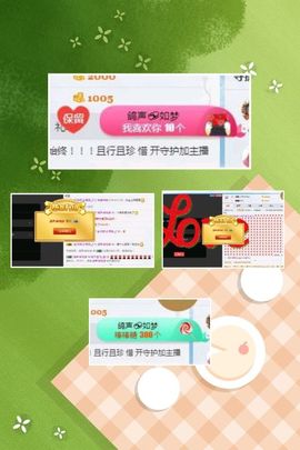 海鸽晚上见主播照片