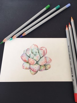 痴吃的猫主播照片