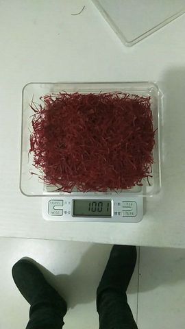 钓便江湖主播照片