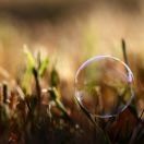 Bubble.4海报