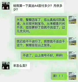 大猫-兮琴主播照片