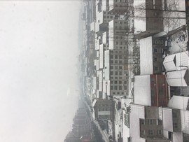 阿振♥一生所爱丸子主播照片