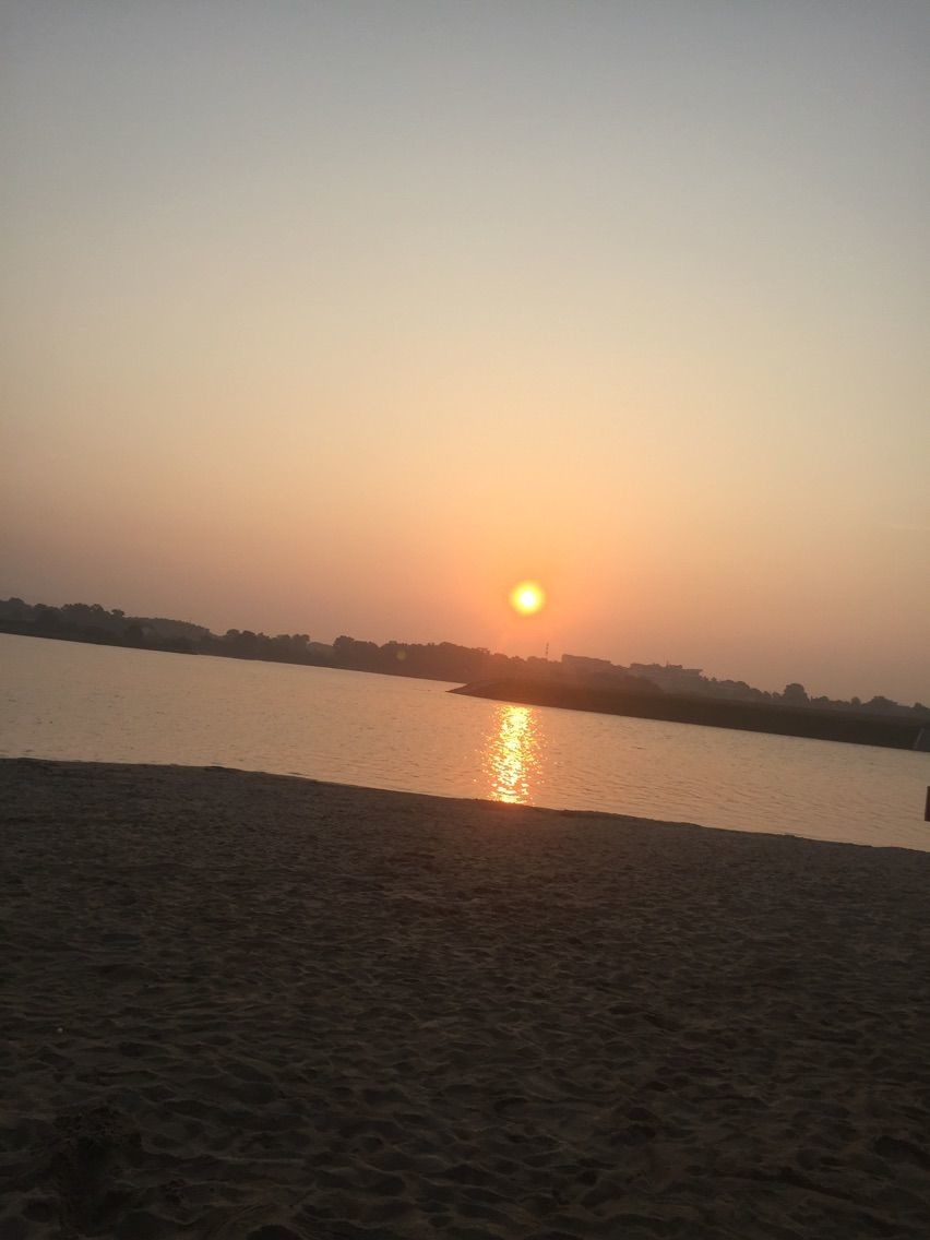 风中的风铃的图片