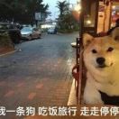 淳良包子的头像