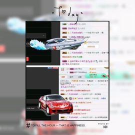 海鸽晚上见主播照片