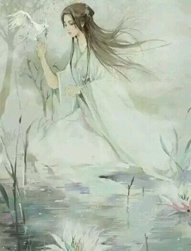 陆七萬主播照片