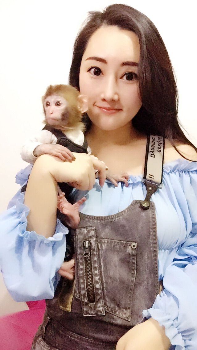 平儿爱唱歌❤️猴的主播照片