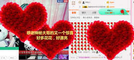 菲菲又停播了主播照片