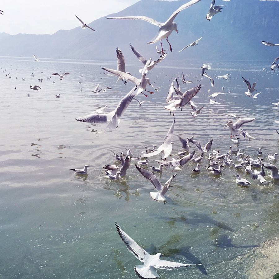 ☆~飞跃地平线的主播照片