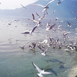 ☆~飞跃地平线主播照片