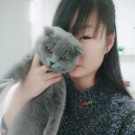 雪宝❤