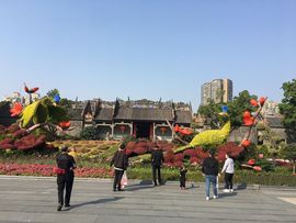 曾经叫豆豆主播照片